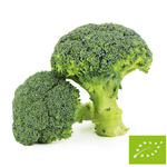 Friss brokkoli BIO (kb. 0,50 kg)