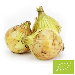 Friss sárga hagyma BIO Lengyelország - kb. 5 kg