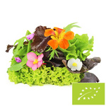 Friss, mosatlan BIO salátakeverék (kb. 0,10 kg)