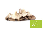 Friss osztrigagomba BIO (Lengyelország) (kb. 0,20 kg)