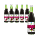 KÉSZLET 6 x Gluténmentes savanyított cékla savanyúság BIO 500 ml