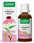 Echinacea forte (Echinacea purpurea) cseppek étrend-kiegészítő bio 50 ml