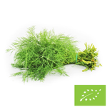 Friss kapor, csokor BIO 1 db. (Lengyelország) (kb. 20 g)