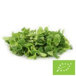 Friss, mosatlan báránysaláta BIO (kb. 0,10 kg)