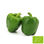 Opakowanie zbiorcze (kg) - Papryka zielona świeża BIO (Polska) (około 5 kg)