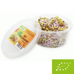 Friss Bio Retekcsíra – kb. 50 g