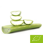 Friss aloe vera bio (kb. 0,50 kg)