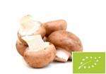 Barna gomba BIO 250 g
