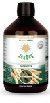 Étrend-kiegészítő Probiotikum Ashwagandha gluténmentes bio 500 ml - Joy Day