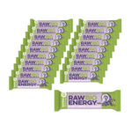KÉSZLET 20 x RAW ENERGY BIO fekete ribizli-kókusz szelet Gfree. BIO 50 g