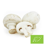 Friss lengyel fehér gomba BIO - kb. 3 kg