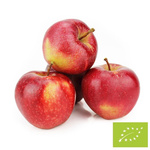 Friss gála alma BIO (Lengyelország) - kb. 13 kg