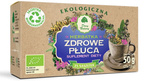 Egészséges Tüdő Tea Bio étrend-kiegészítő 50 g (25 x 2 g) - Dar Natury