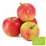 Juice alma frissen BIO Lengyelország - kb. 5 kg