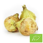 Friss sárga hagyma Bio (Lengyelország) (Kb. 1,00 kg)