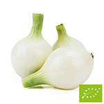Fehér édeshagyma, friss, Bio (Lengyelország) – kb. 1,00 kg