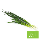 Metélőhagyma BIO (Lengyelország) (kb. 0,12 kg)