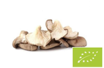Osztrigagomba BIO 200 g