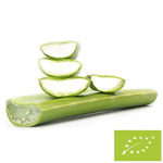 Friss aloe vera bio (kb. 0,50 kg)