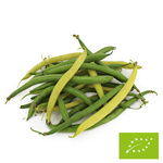 OPAKOWANIE ZBIORCZE (kg) - FASOLKA SZPARAGOWA ŚWIEŻA BIO (POLSKA) (około 4 kg)