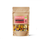 Gyümölcsös feltétek müzlihez és desszertekhez, immunrendszerért, BIO 20 g – Dary Natury