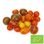 Friss BIO koktélparadicsom mix (kb. 0,25 kg) – Bio Planet