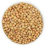 Barna lencse bio (nyersanyag) (25 kg) 6