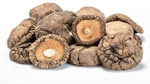 Shiitake (szárított gomba) BIO (alapanyag) (10 kg) 4