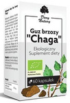 Nyírfa nyírfa tumor chaga BIO 60 kapszula (470 mg)