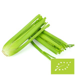 SNOW SELER ŚWIEŻY BIO (LENGYELORSZÁG) (kb. 0,30 kg)