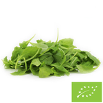 Friss, mosatlan rakéta BIO (kb. 0,10 kg)