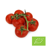 Friss bio paradicsom (kb. 0,45 kg)
