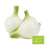 Friss BIO édes fehérhagyma (Lengyelország), kb. 5 kg
